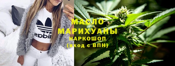 spice Богородицк