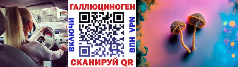 Псилоцибиновые грибы Psilocybe  Мглин 